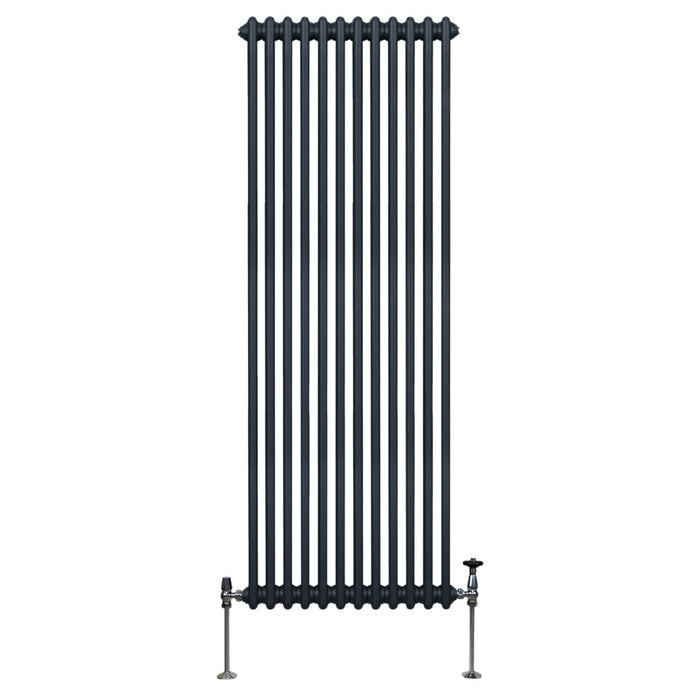 Termosifone Radiatore a 2 colonne per riscaldamento centralizzato verticale Grigio Antracite 180x56cm