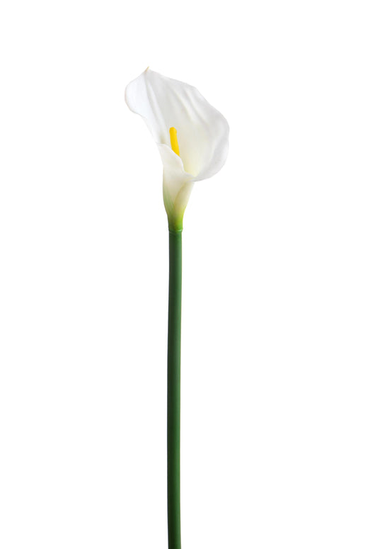 Set 4 Fiori Artificiali di Calla Singola Altezza 74 cm Bianco