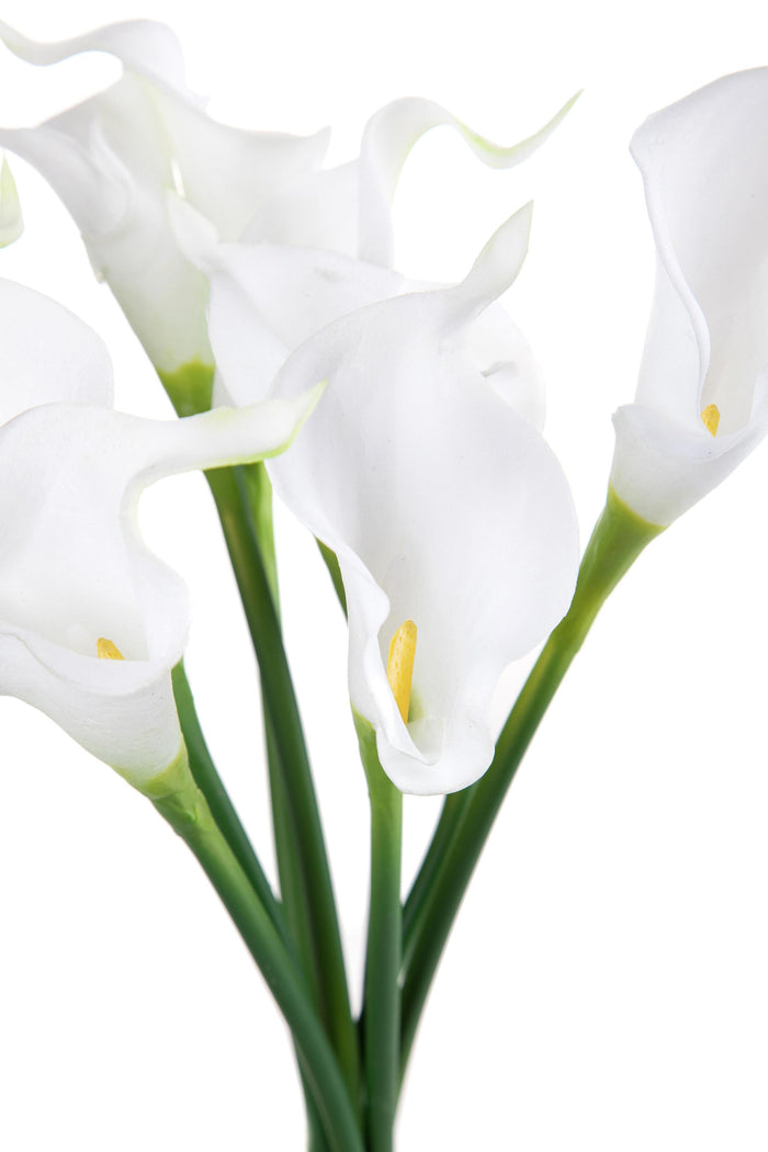 Set 3 Calla Artificiali Composta da 8 Fiori Altezza 36 cm Bianco