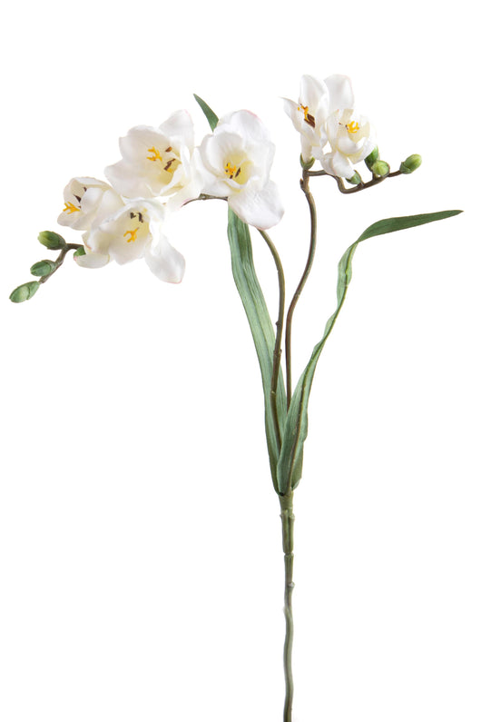 Set 6 Fiori Artificiali di Fresia con Due Fiori Altezza 63 cm Bianco