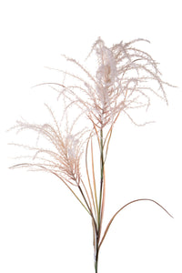 Set 2 Pampas Artificiale con Due dirmazioni Altezza 142 cm Rosa