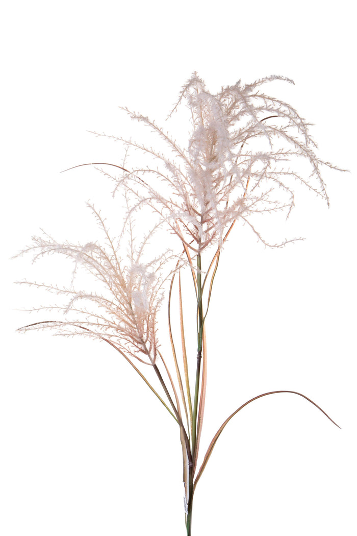 Set 2 Pampas Artificiale con Due dirmazioni Altezza 142 cm Rosa