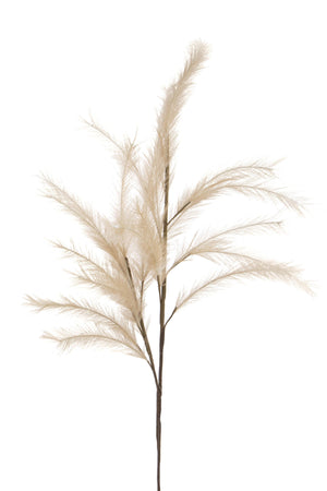 Set 3 Pampas Artificiale con 24 Diramazioni Altezza 115 cm Marrone