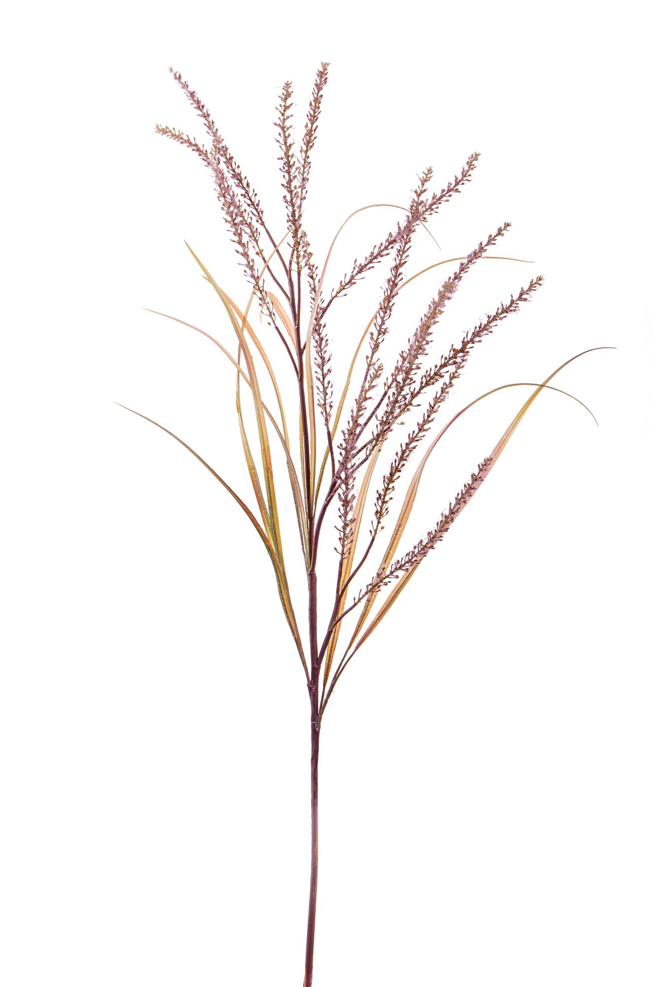 Set 2 Pennisetum Artificiali con 14 Diramazioni Altezza 130 cm Marrone