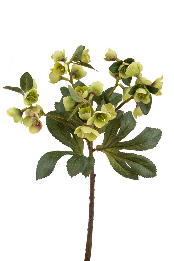 Set 4 Rami Artificiali di Helleborus Altezza 42 cm Verde