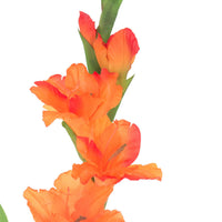 Set 8 Fiori Artificiali di Gladiolo Mini Altezza 74 cm Arancio