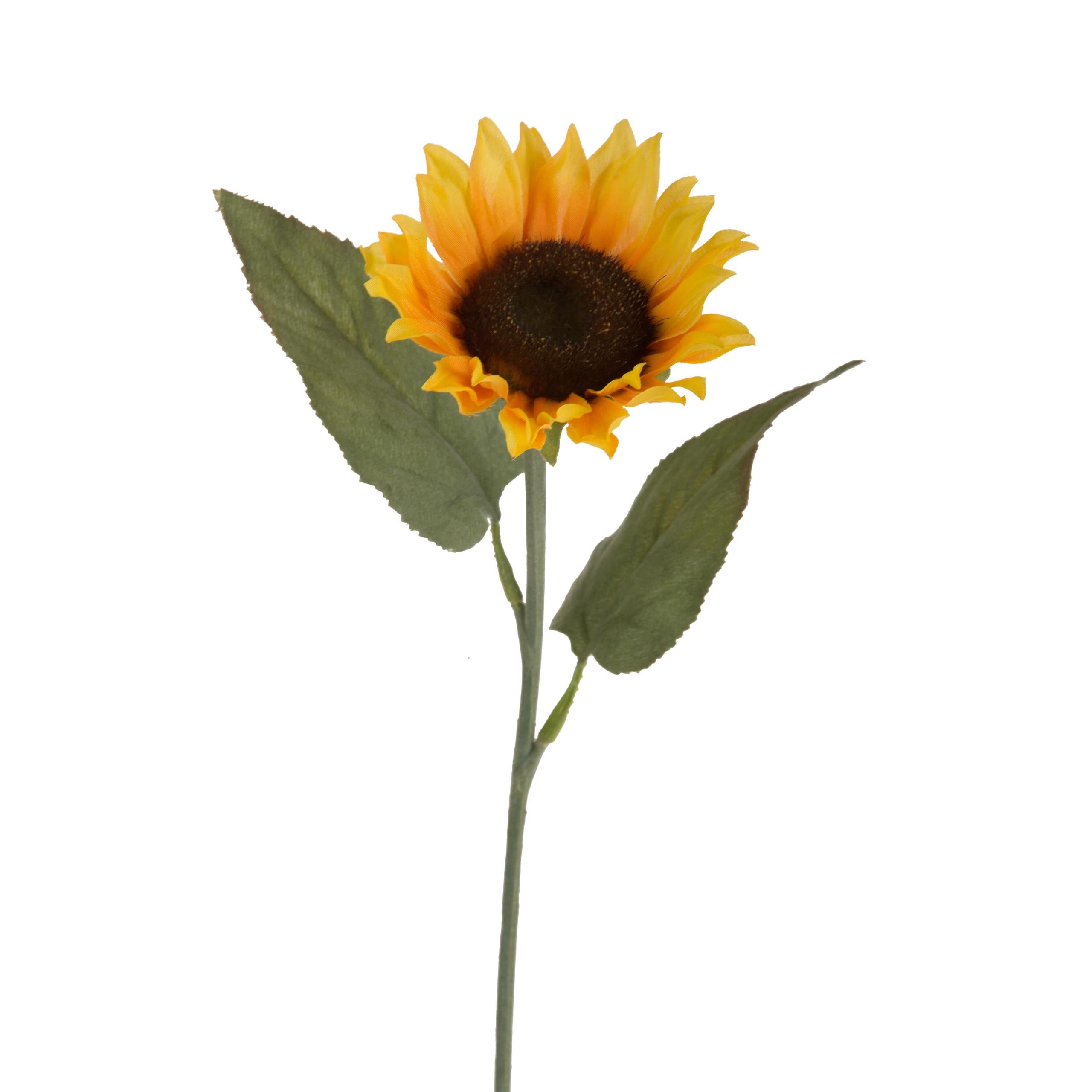 Set 12 Girasoli Artificiali Piccolo Altezza 66 cm Giallo