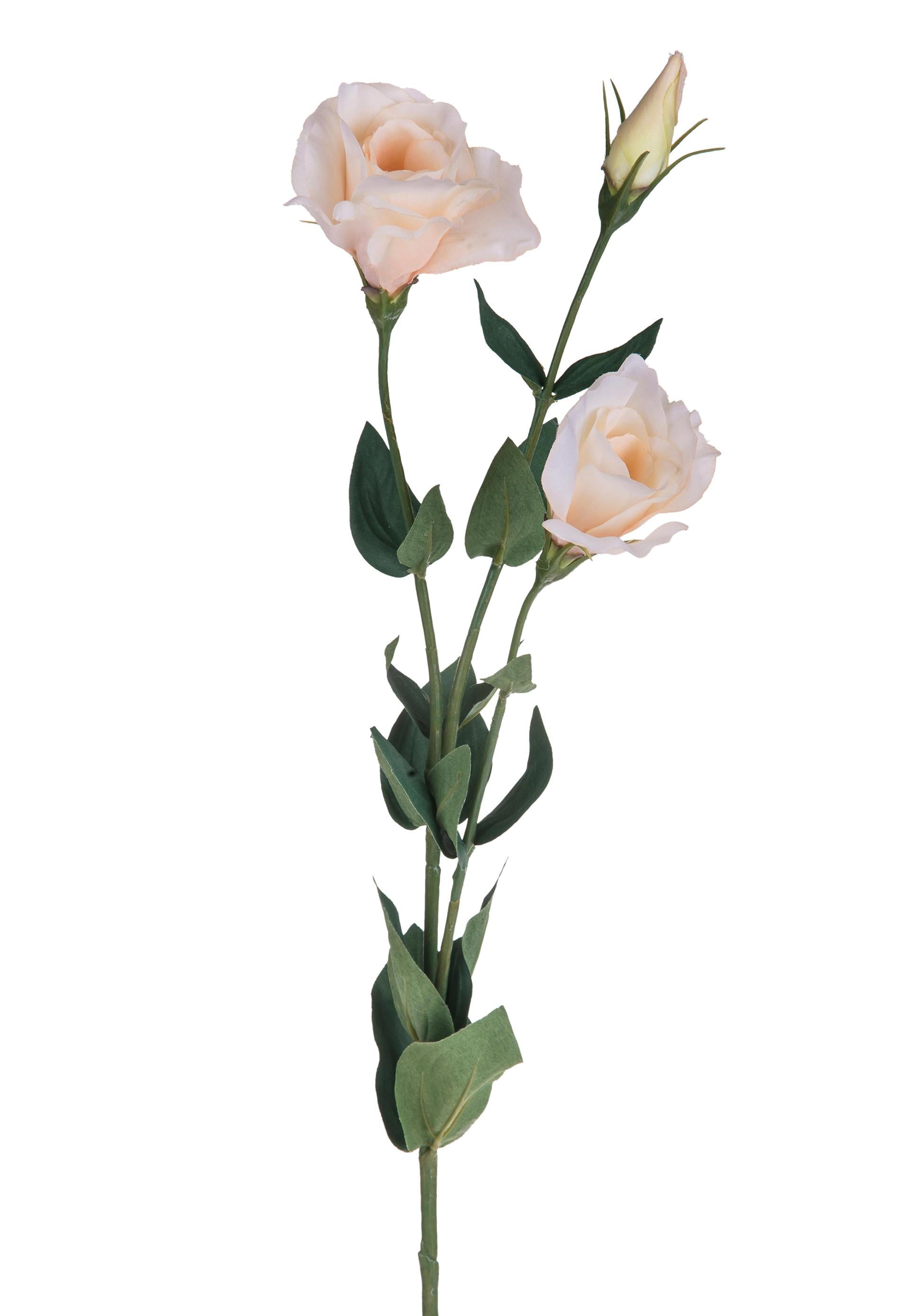 Set 8 Lisianthus Artificiali Composto da 3 Fiori Altezza 75 cm