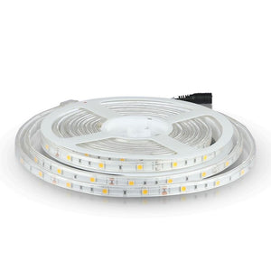 Strip LED SMD5050 - 30 LED 6400K IP65