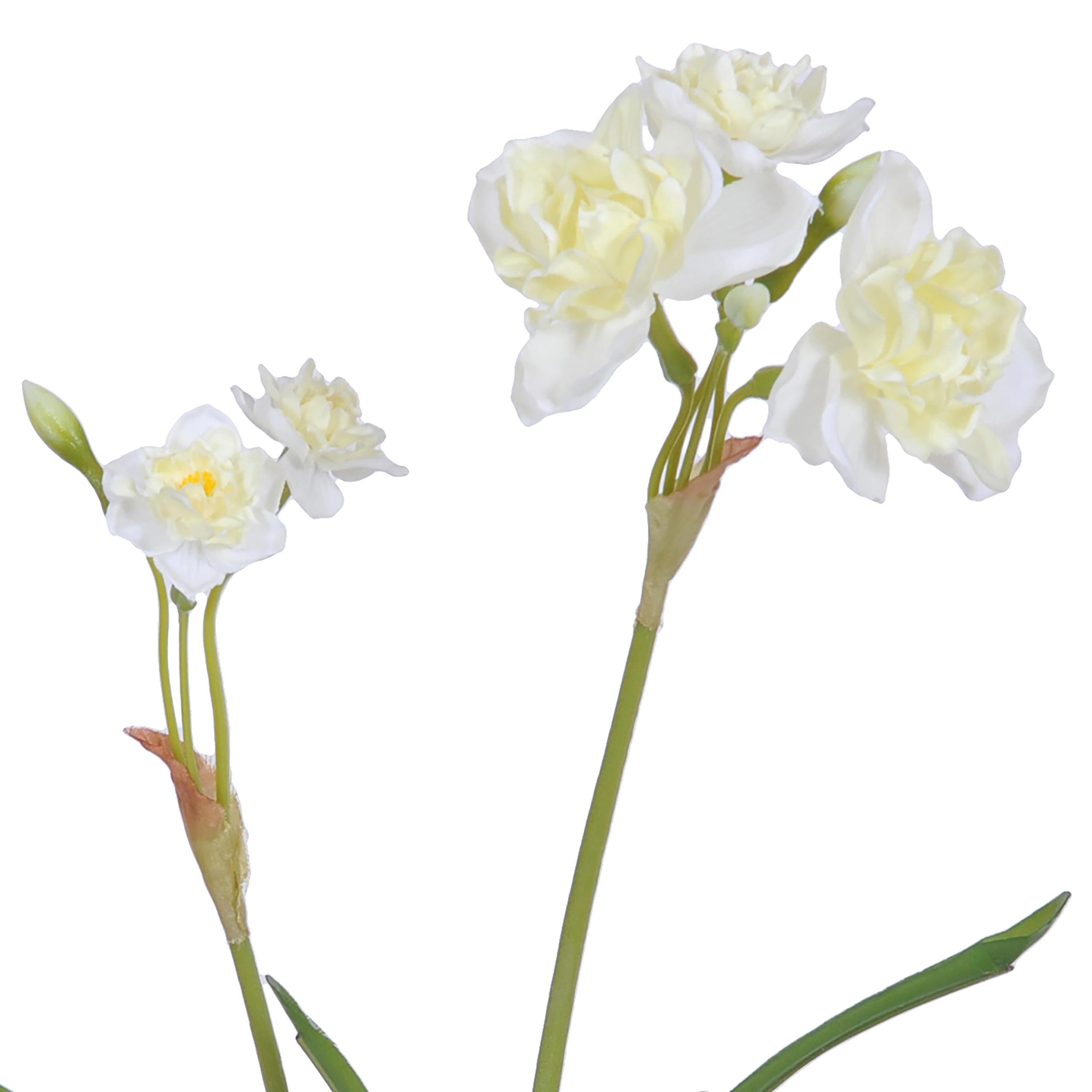 Set 12 Narciso con 2 Fiori Artificiali Altezza 67 cm