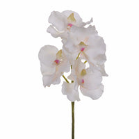 Set 3 Orchidea Artificiali Vanda Altezza 62 cm