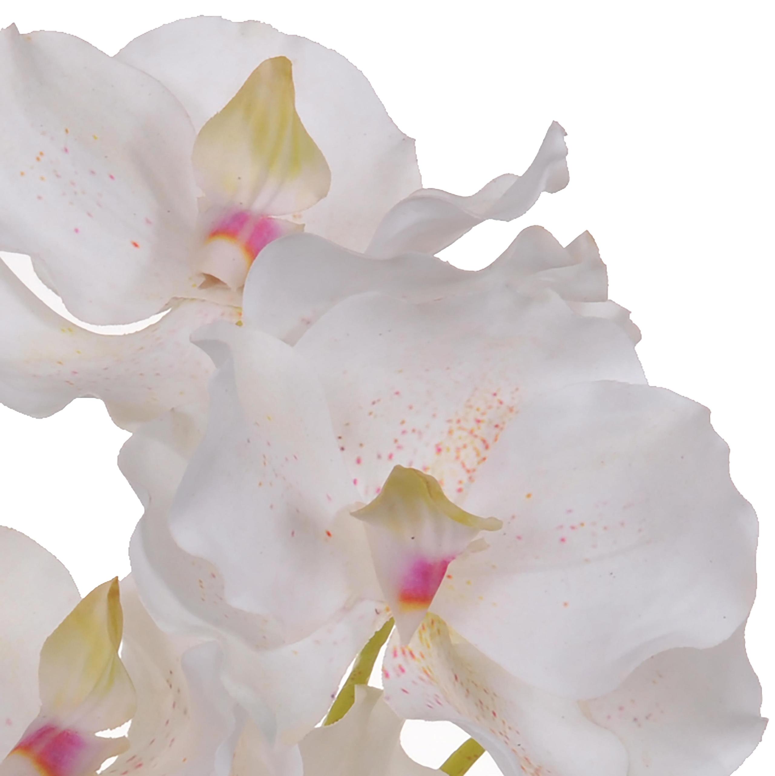 Set 3 Orchidea Artificiali Vanda Altezza 62 cm