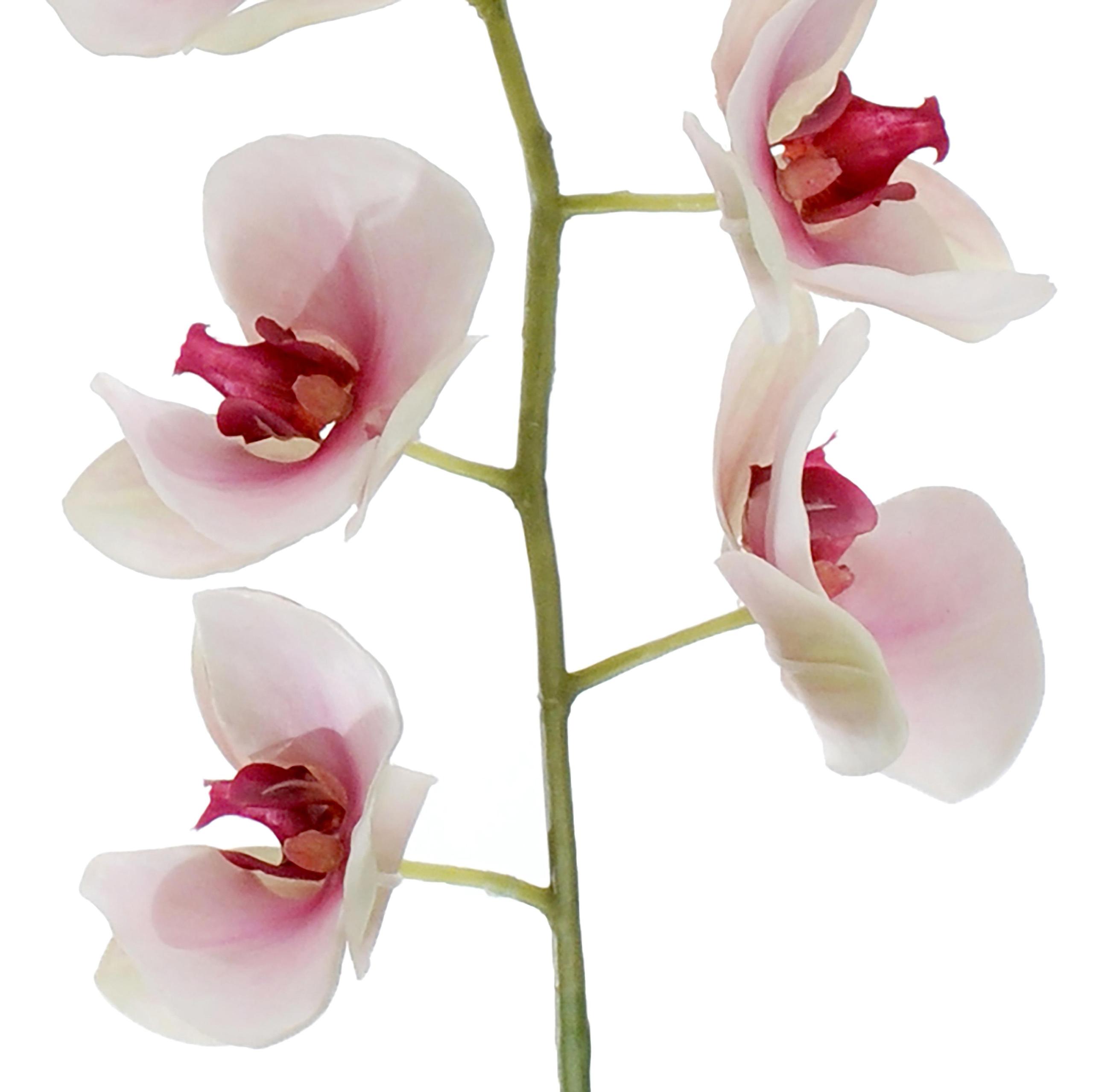 Phalaenopsis Artificiale Altezza 95 cm Bianco