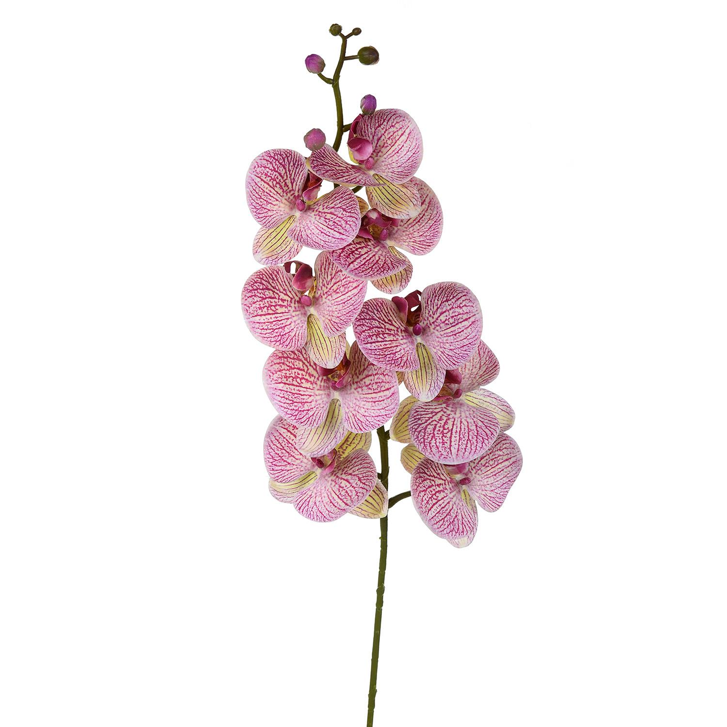 Set 2 Phalenopsis Artificiali con 9 Fiori Altezza 110 cm Viola