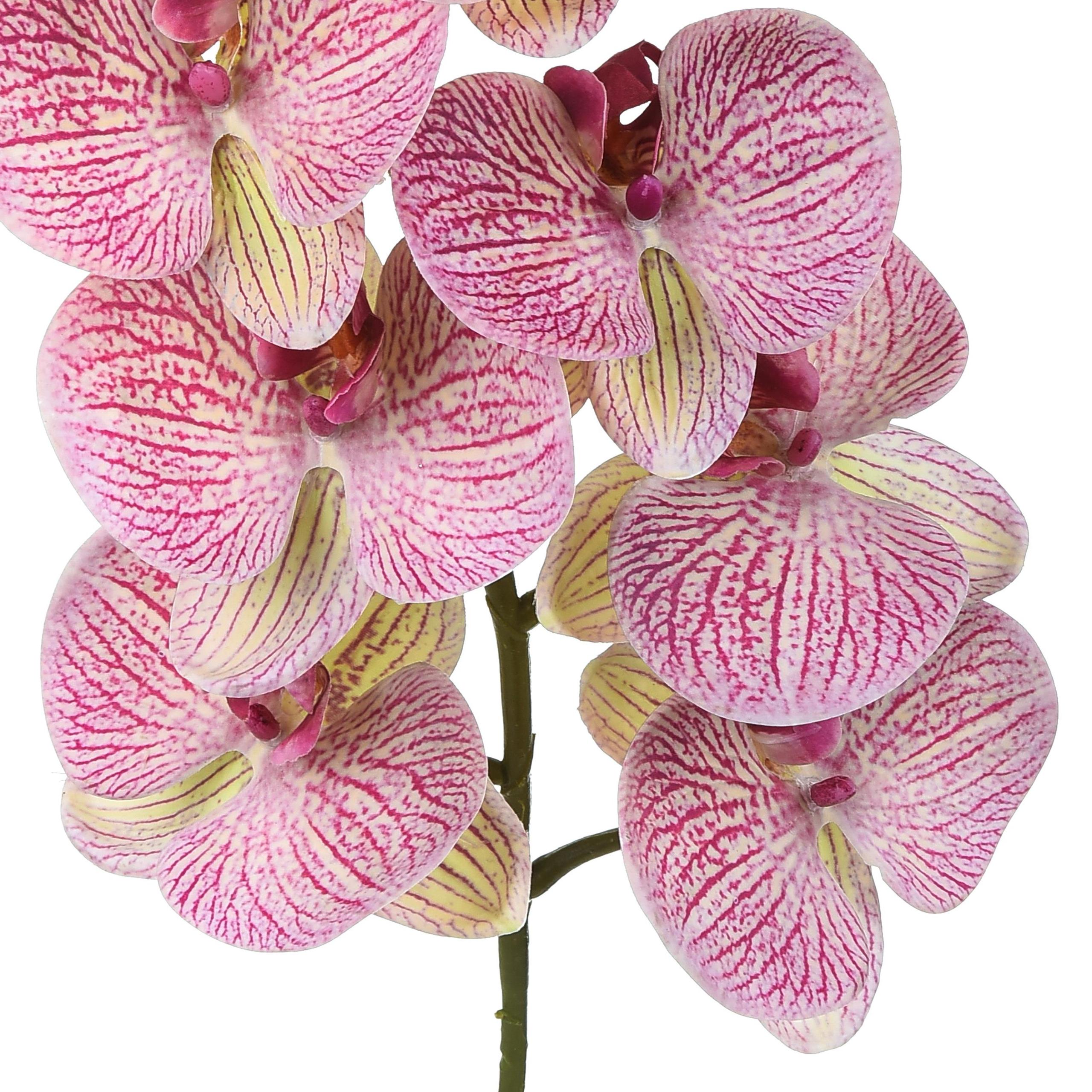 Set 2 Phalenopsis Artificiali con 9 Fiori Altezza 110 cm Viola