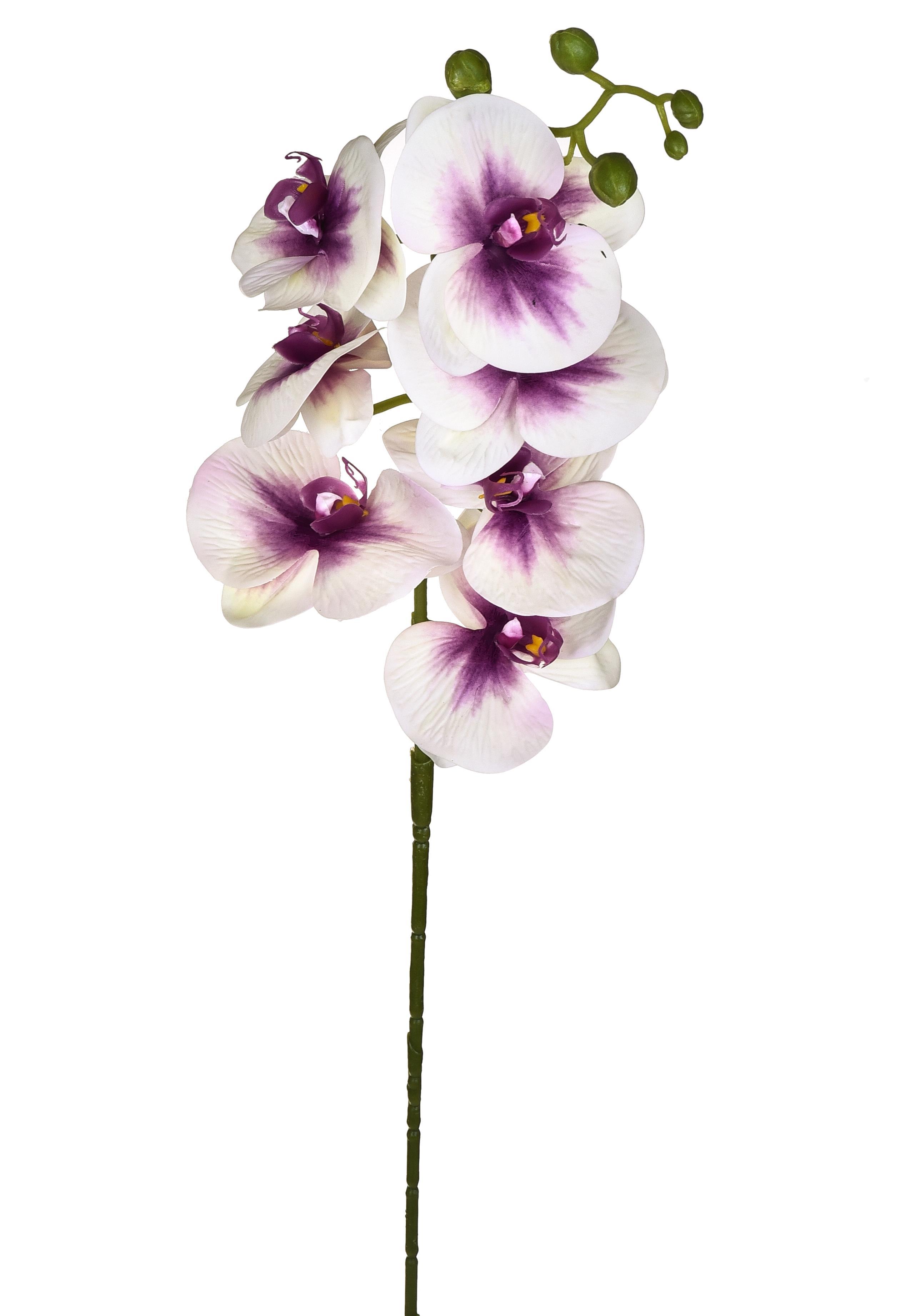 Set 6 Phalaenopsis Artificiali con 7 Fiori Altezza 96 cm