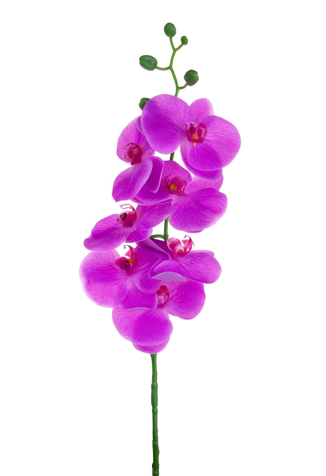 Set 6 Phalaenopsis Artificiali con 7 Fiori Altezza 96 cm Viola