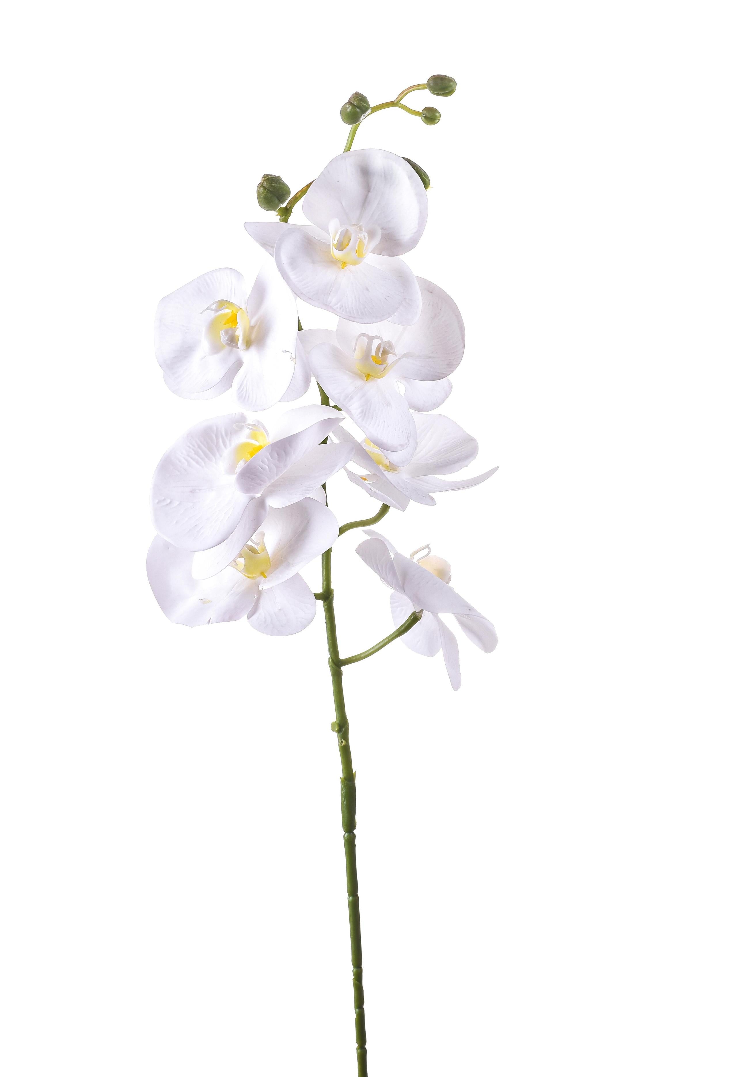 Set 6 Phalaenopsis Artificiali con 7 Fiori Altezza 96 cm Bianco