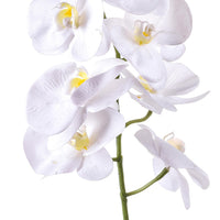 Set 6 Phalaenopsis Artificiali con 7 Fiori Altezza 96 cm Bianco