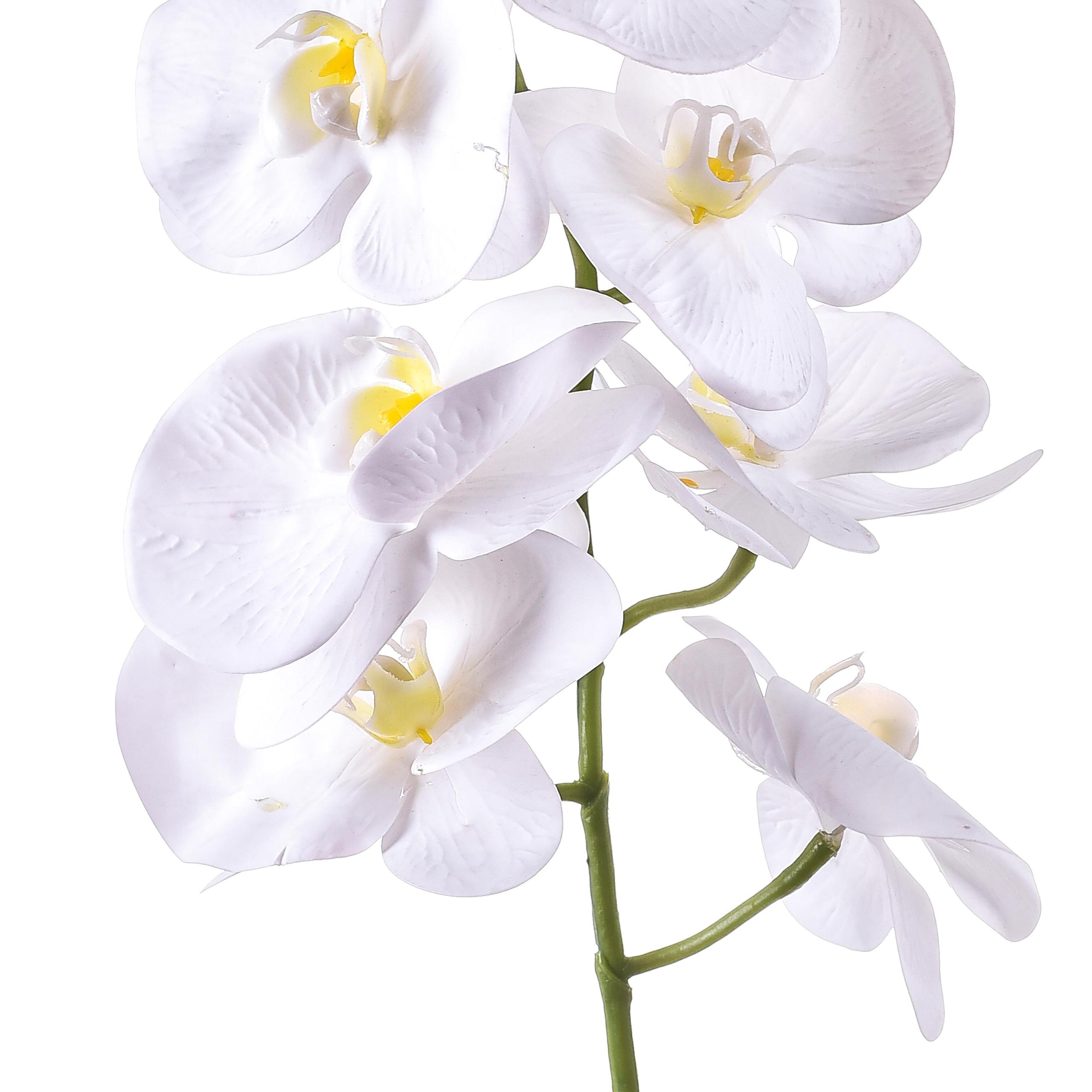 Set 6 Phalaenopsis Artificiali con 7 Fiori Altezza 96 cm Bianco