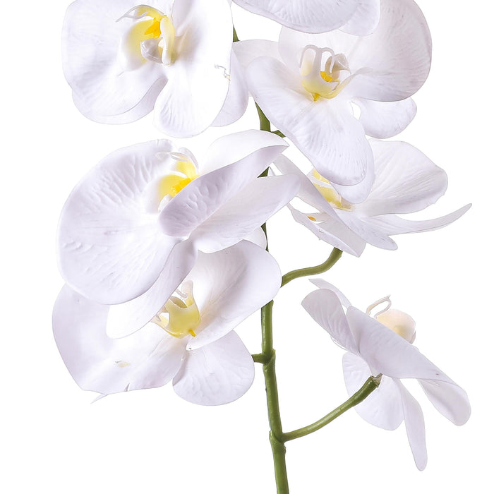 Set 6 Phalaenopsis Artificiali con 7 Fiori Altezza 96 cm Bianco