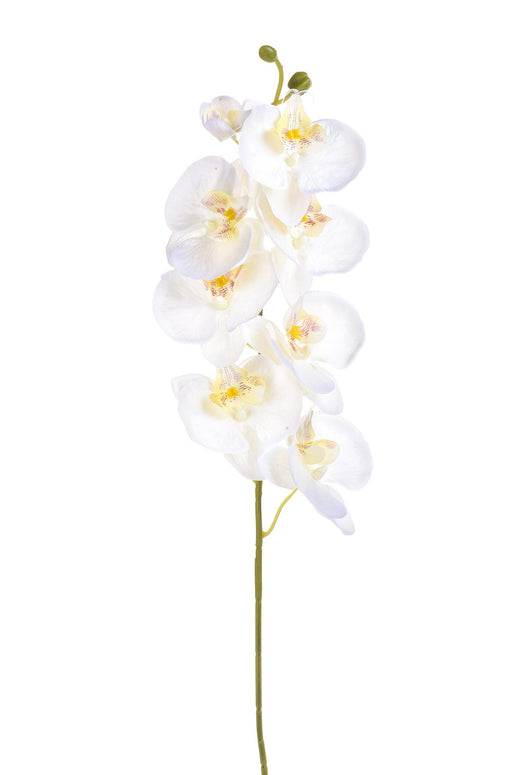 Set 8 Phalaenopsis Artificiali con 8 Fiori Altezza 65 cm Bianco