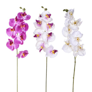 Set 8 Phalaenopsis Artificiali con 8 Fiori Altezza 65 cm Multicolore