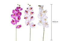 Set 8 Phalaenopsis Artificiali con 8 Fiori Altezza 65 cm Multicolore