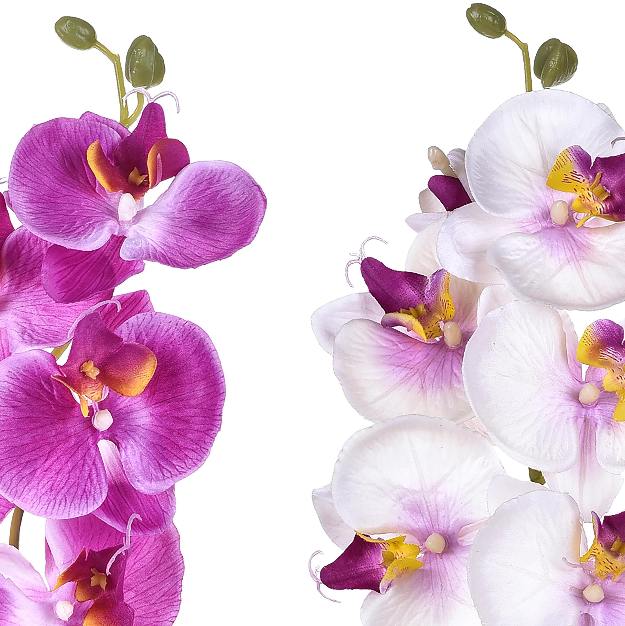 Set 8 Phalaenopsis Artificiali con 8 Fiori Altezza 65 cm Multicolore