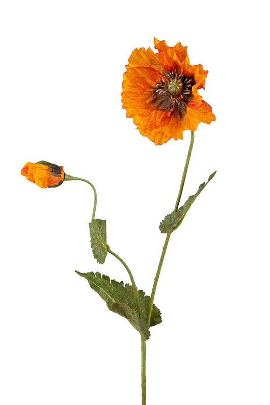 Set 6 Papaveri Artificiale a 2 Diramazioni con Fiori Altezza 73 cm Arancio