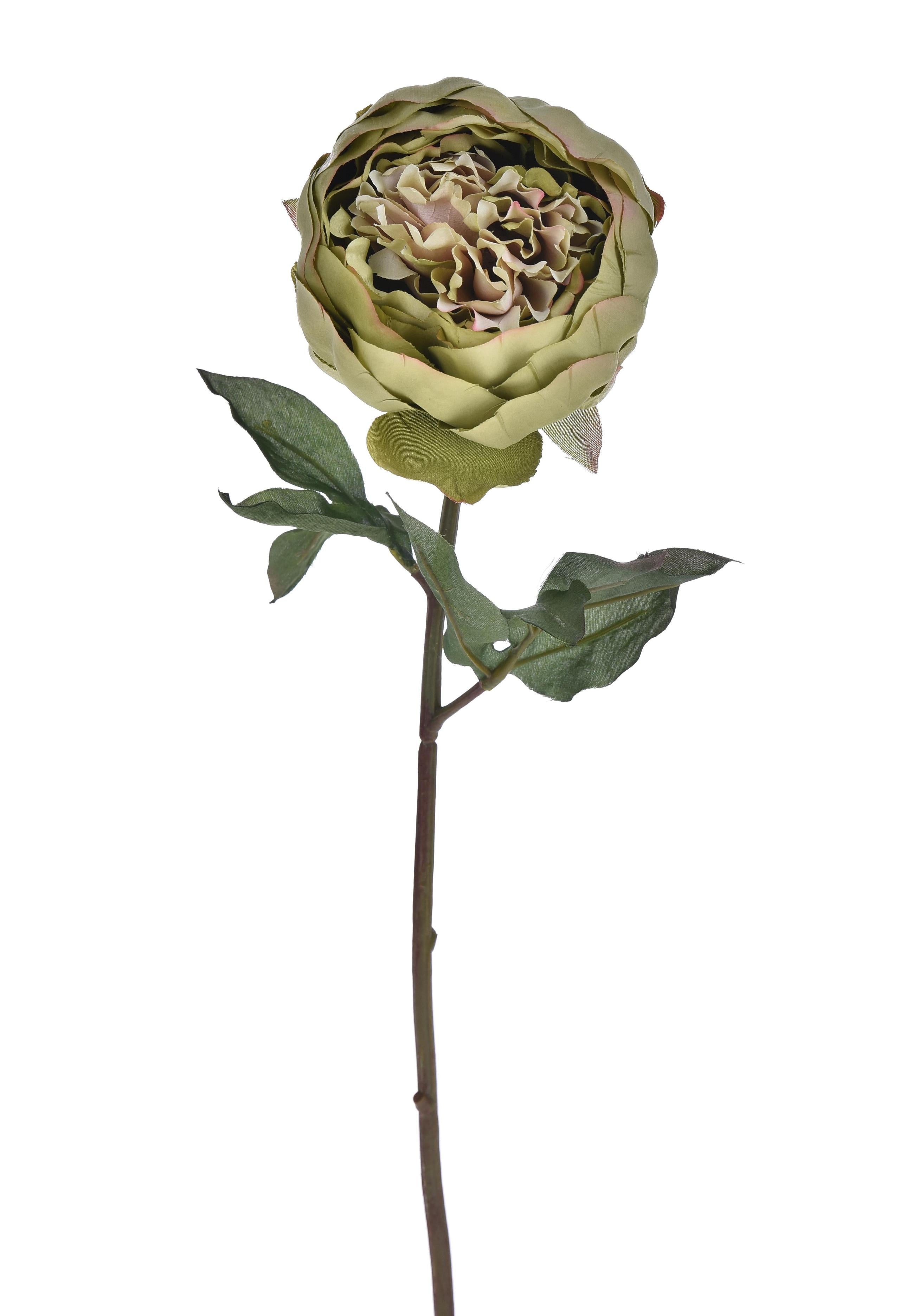 Set 4 Peonia Artificiale Romance Altezza 52 cm Verde