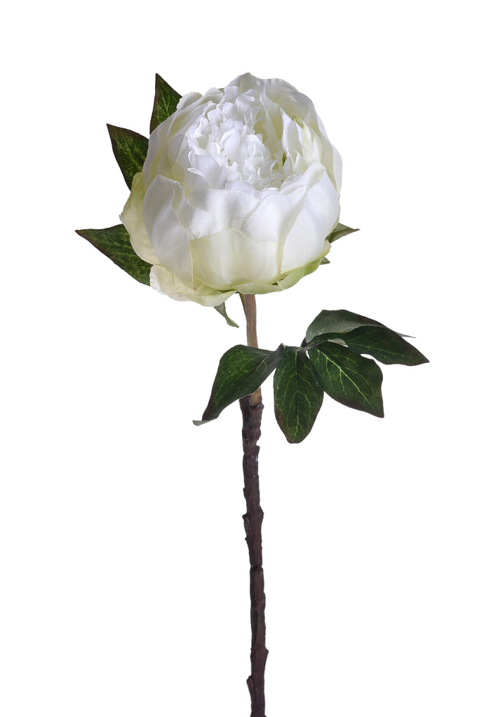 Set 6 Peonia Artificiale Altezza 48 cm Bianco