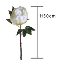 Set 6 Peonia Artificiale Altezza 48 cm Bianco