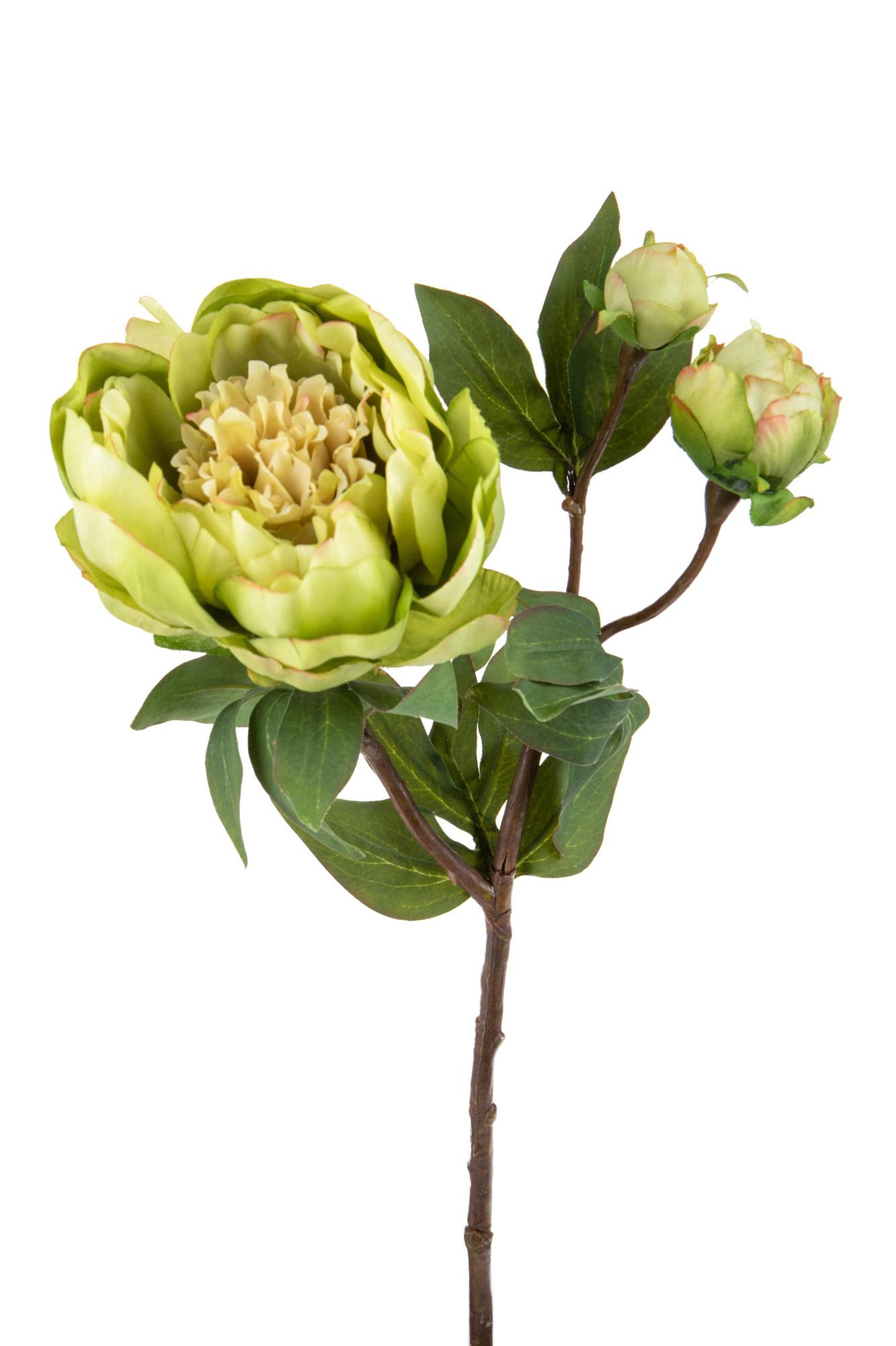 Set 4 Peonia Artificiale Romance con 3 Fiori Altezza 49 cm Verde