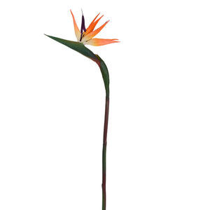 Set 3 Strelitzia Artificiali Altezza 85 cm Arancio