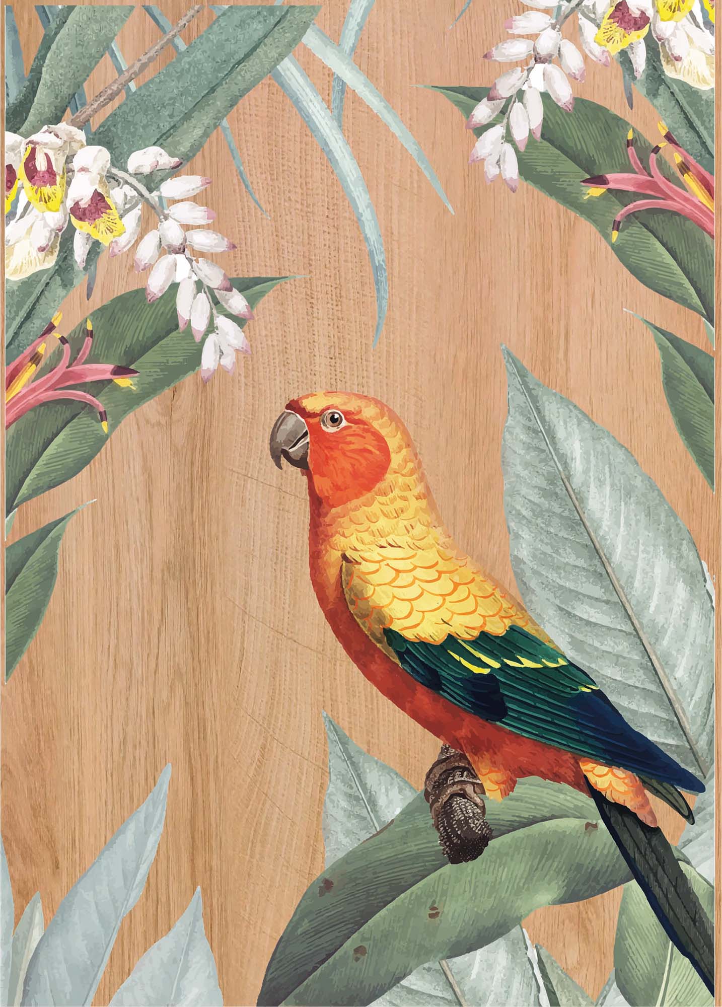 Quadro in Legno Stampato Multicolour Parrots 30x42 *FSC