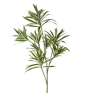 Set 3 Dracena con 141 Foglie Artificiali Altezza 84 cm Verde