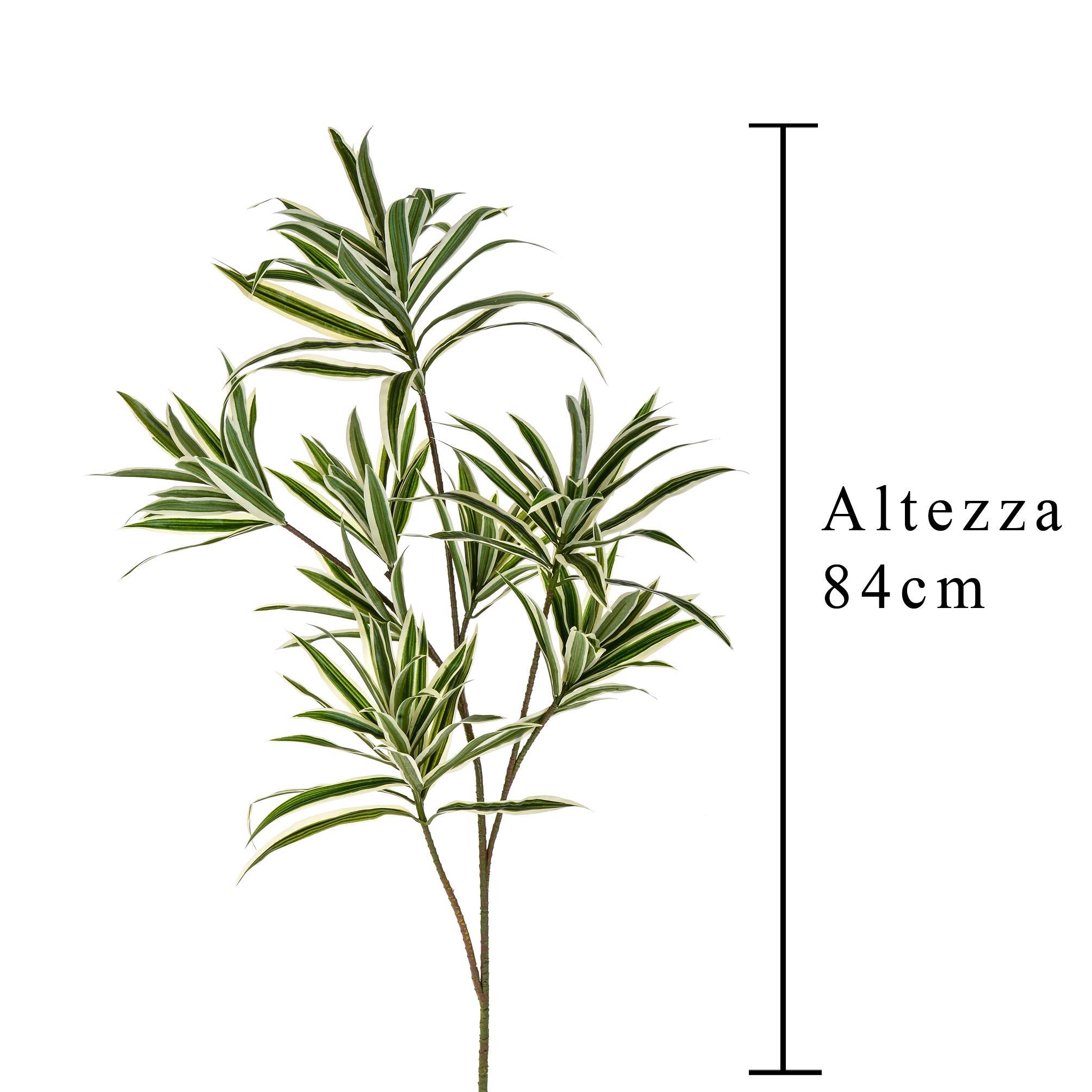 Set 3 Dracena con 141 Foglie Artificiali Altezza 84 cm Verde