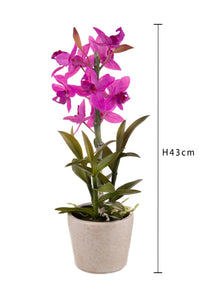 Orchidea Artificiali con Vaso Altezza 43 cm Rosa