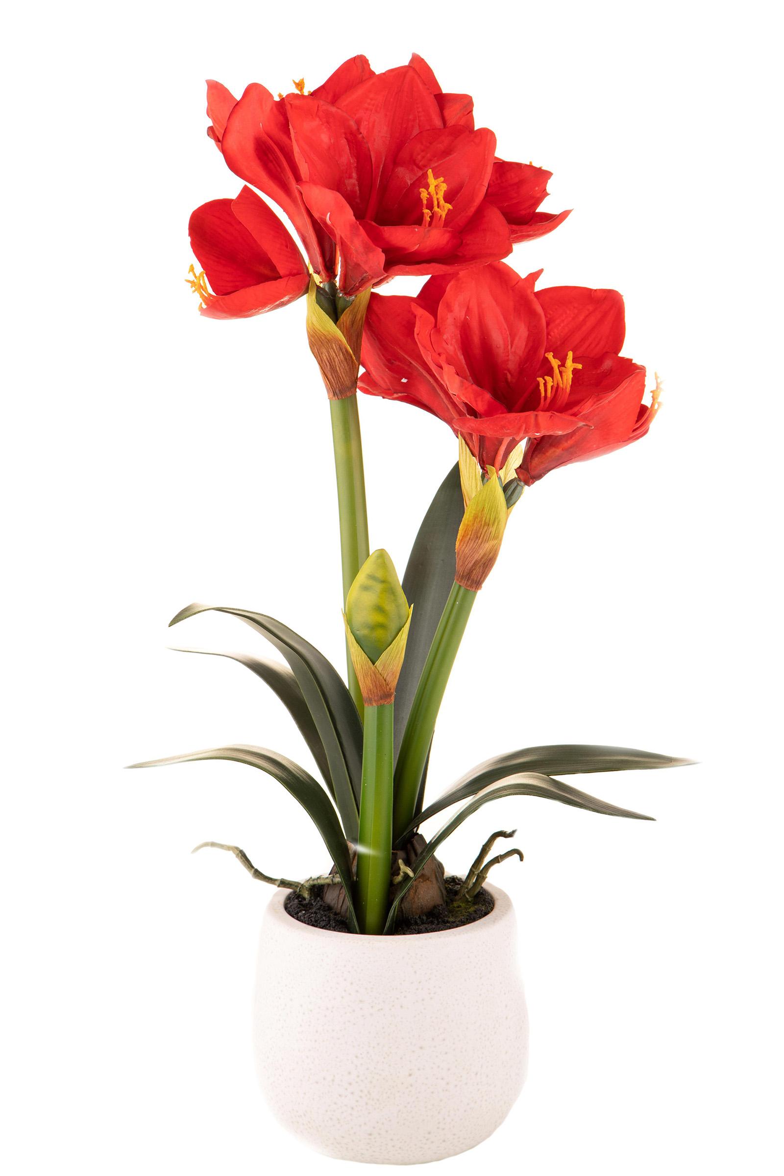 Amaryllis Artificiale con Vaso Altezza 64 cm Rosso