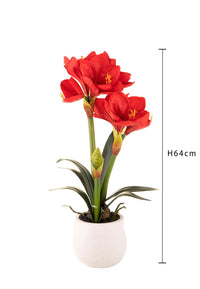 Amaryllis Artificiale con Vaso Altezza 64 cm Rosso