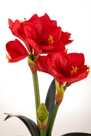 Amaryllis Artificiale con Vaso Altezza 64 cm Rosso