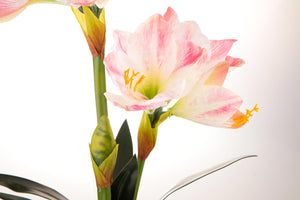 Amaryllis Artificiale con Vaso Altezza 64 cm Rosa