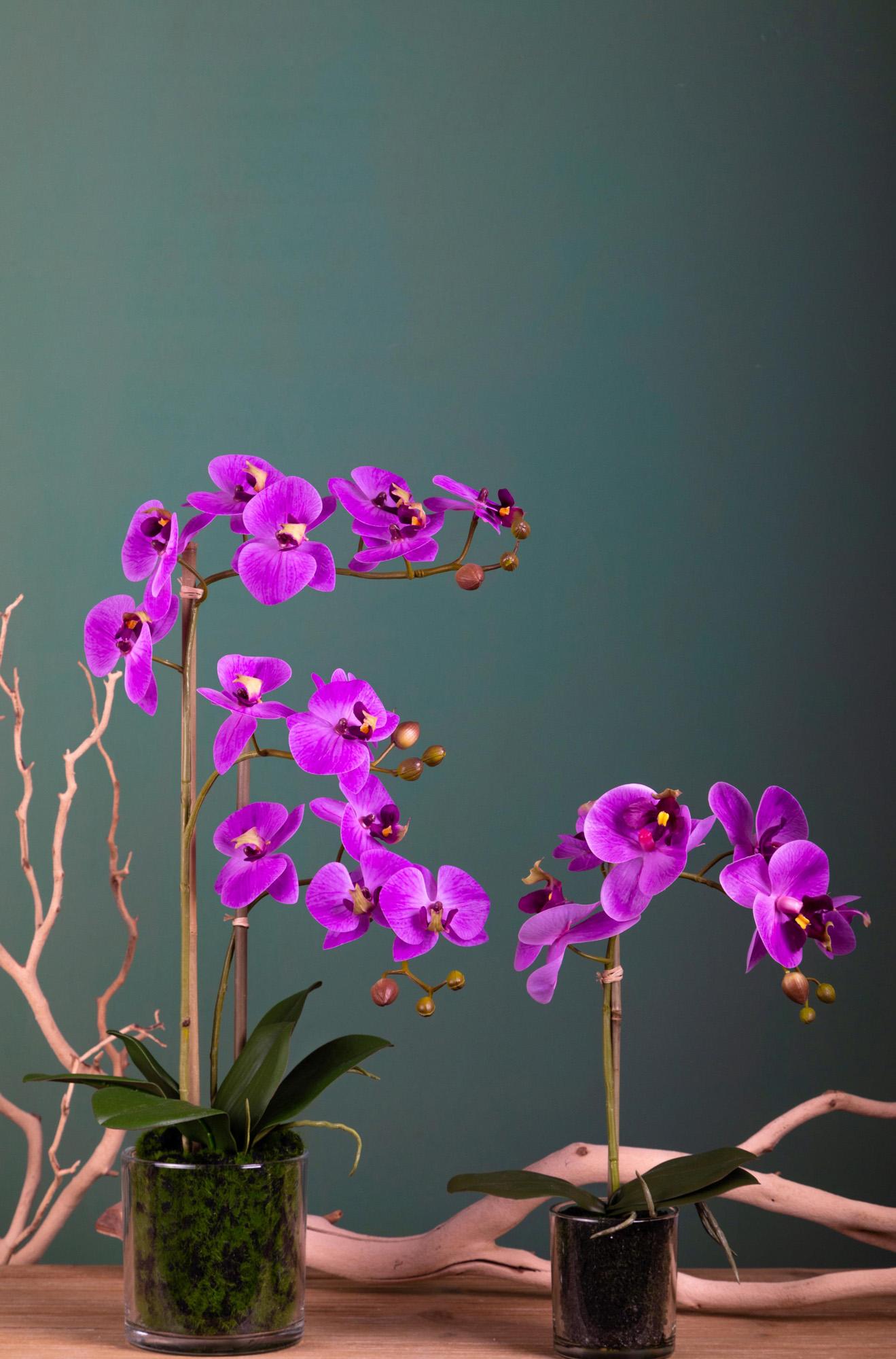 Pianta Artificiale di Phalaenopsis Artificiali con Vaso Altezza 48 cm Rosa