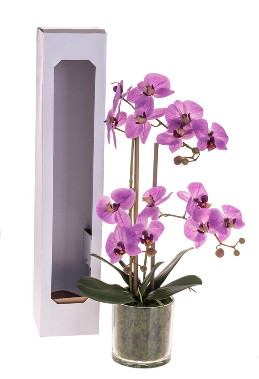 Pianta Artificiale di Phalaenopsis Artificiali con Vaso Altezza 56 cm Rosa