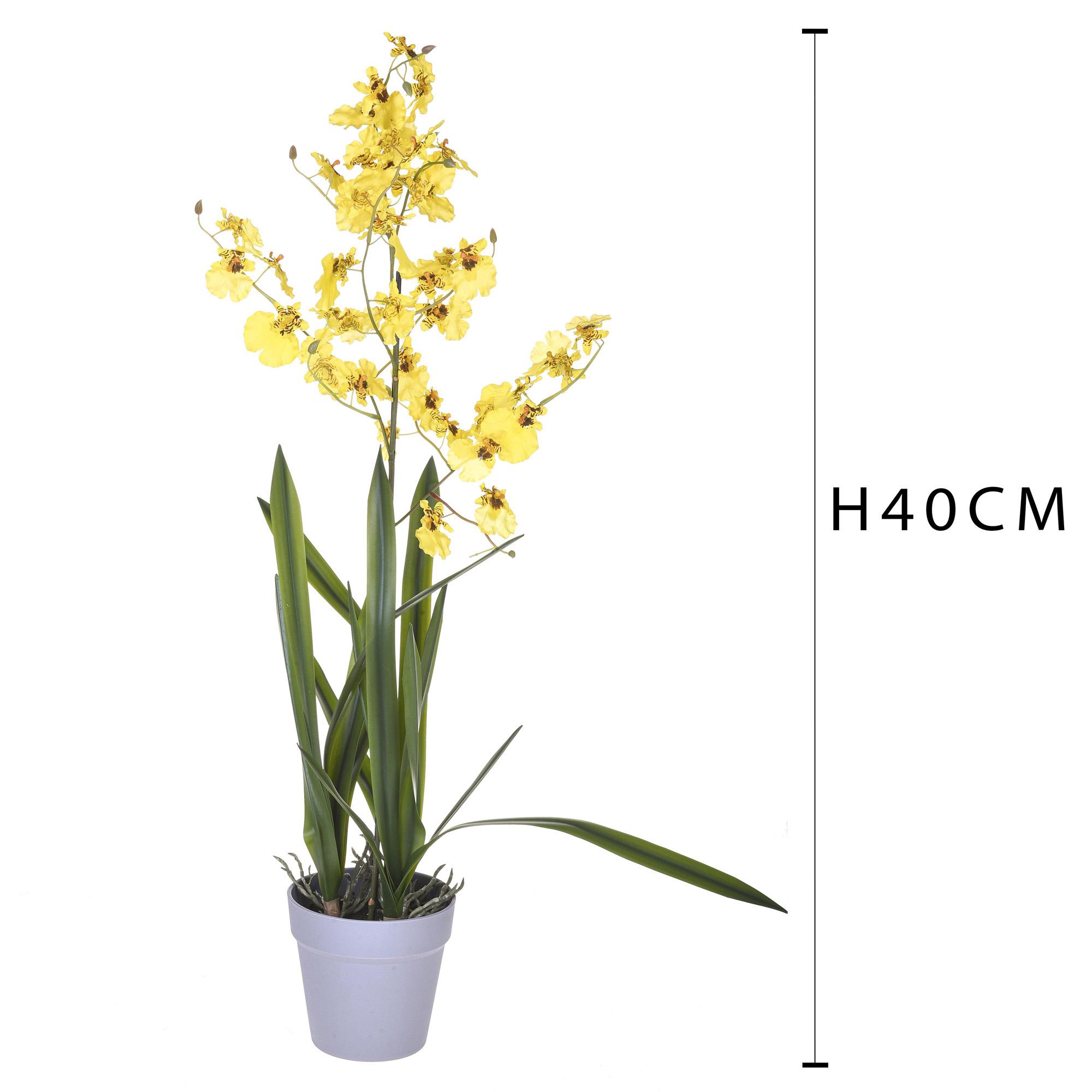 Orchidea Artificiali Oncidium con Vaso Altezza 40 cm Giallo