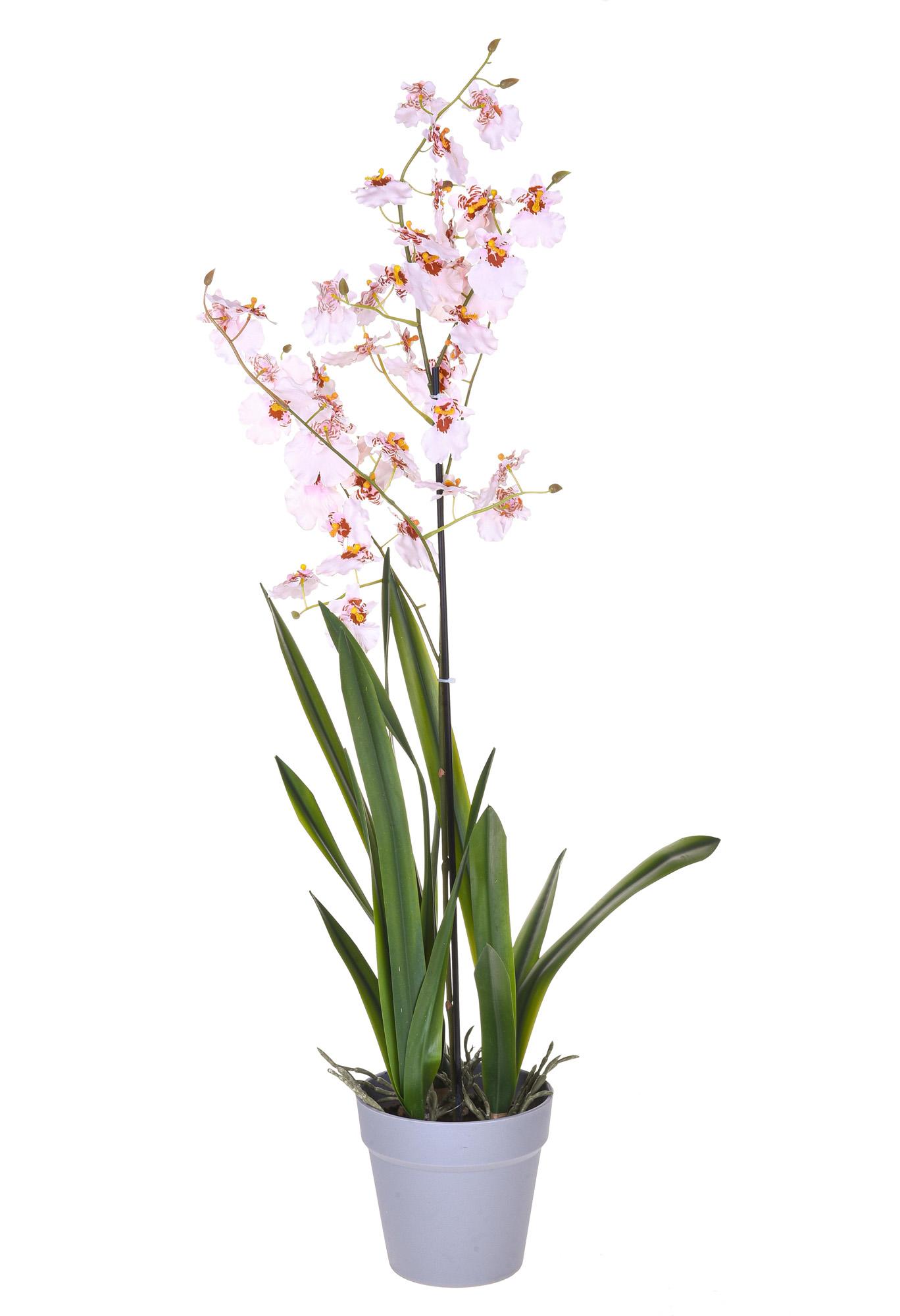 Orchidea Artificiali Oncidium con Vaso Altezza 40 cm Rosa