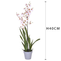 Orchidea Artificiali Oncidium con Vaso Altezza 40 cm Rosa