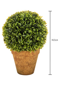 Set 2 Sfera Bossolo/Buxus Artificiale con Vaso Altezza 23 cm Verde