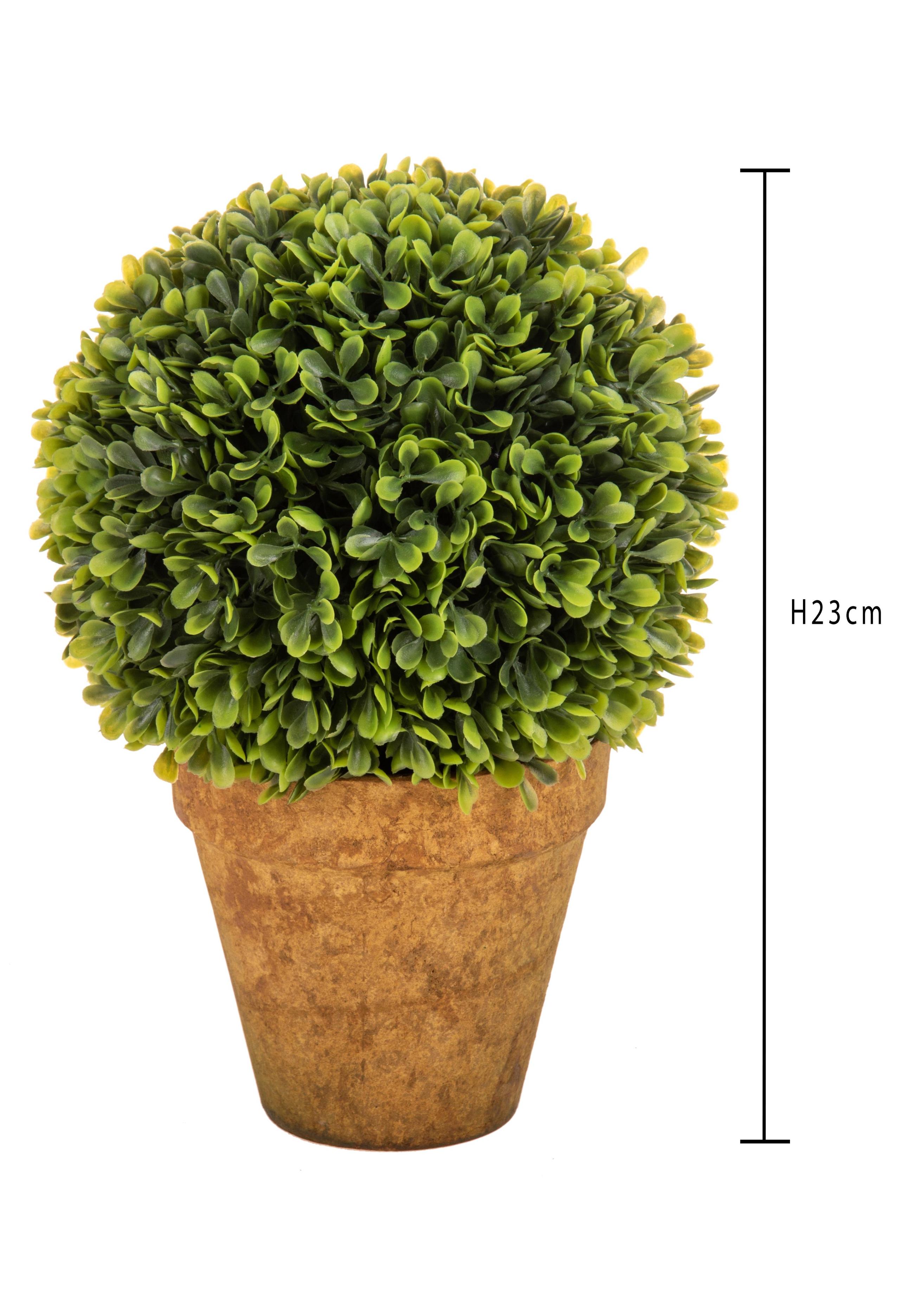 Set 2 Sfera Bossolo/Buxus Artificiale con Vaso Altezza 23 cm Verde